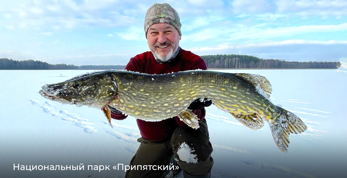 Слайдер--картинка-2