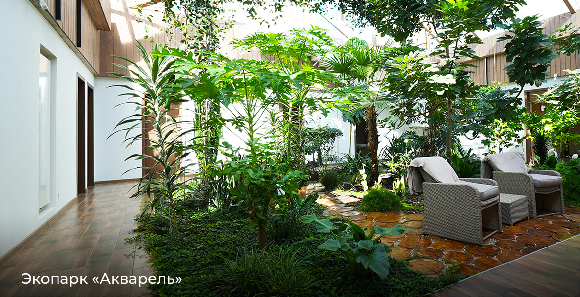 Слайдер--картинка-4