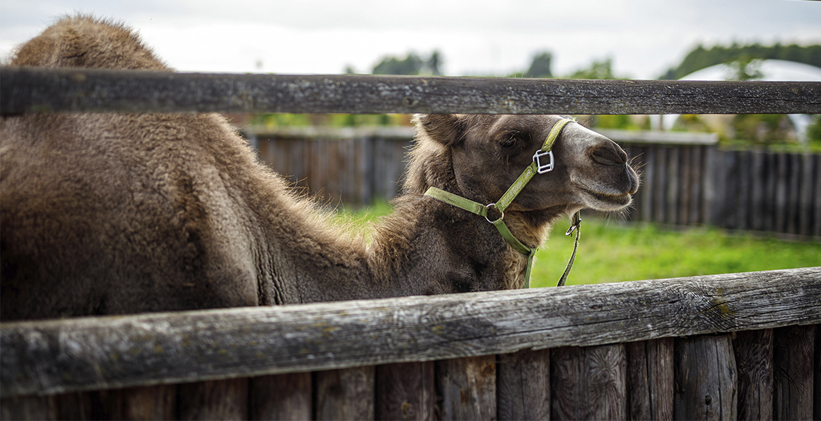 Слайдер--картинка-3