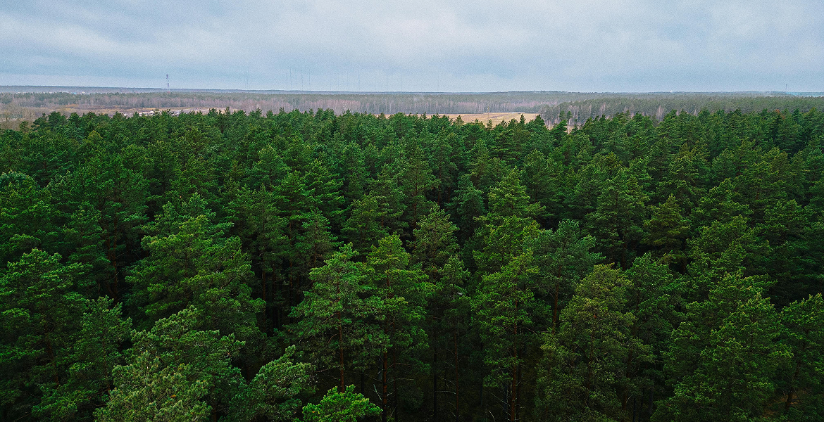 Слайдер--картинка-4