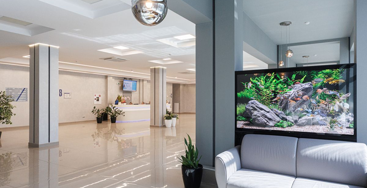 Слайдер--картинка-6