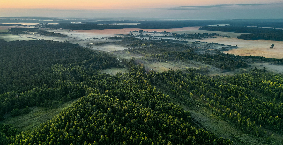 Слайдер--картинка-2