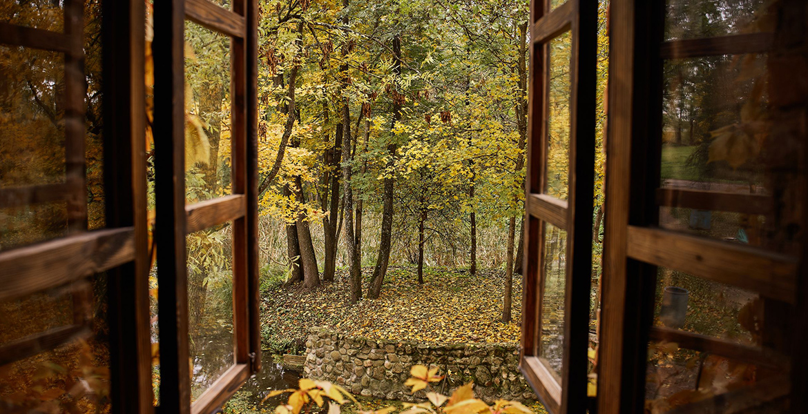 Слайдер--картинка-5