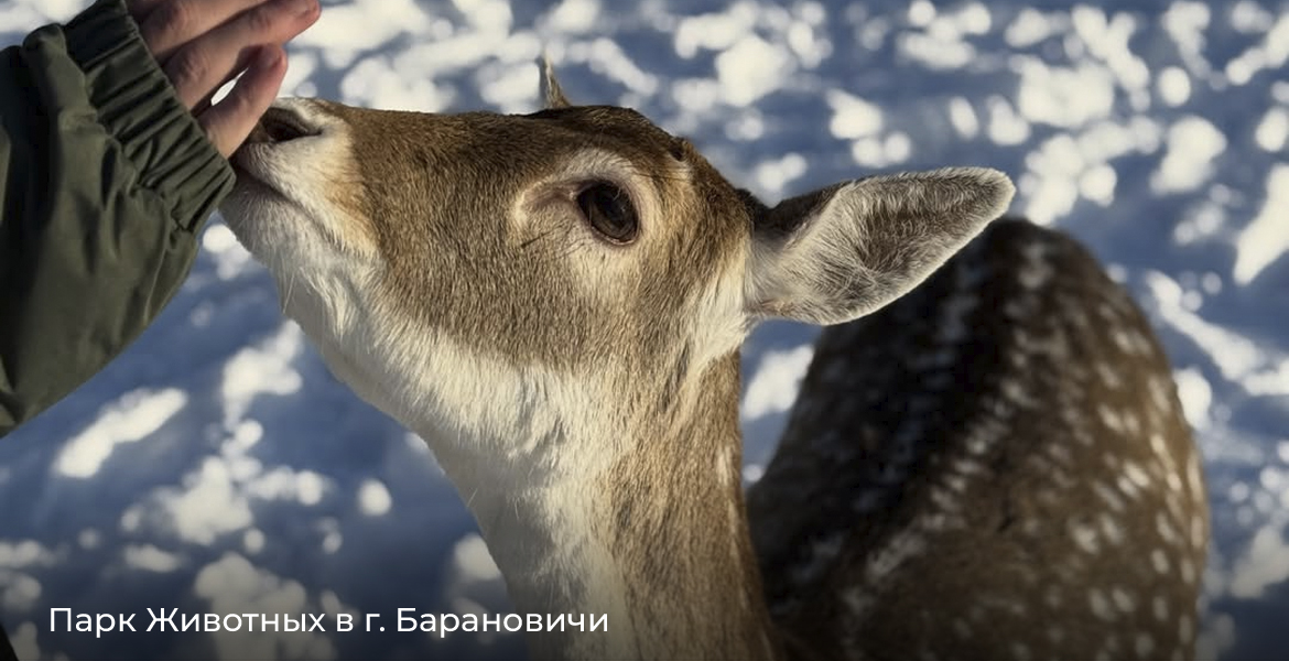 Слайдер--картинка-6