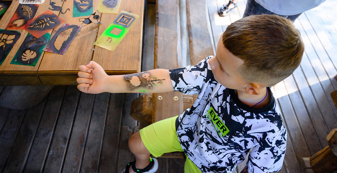 Слайдер--картинка-8