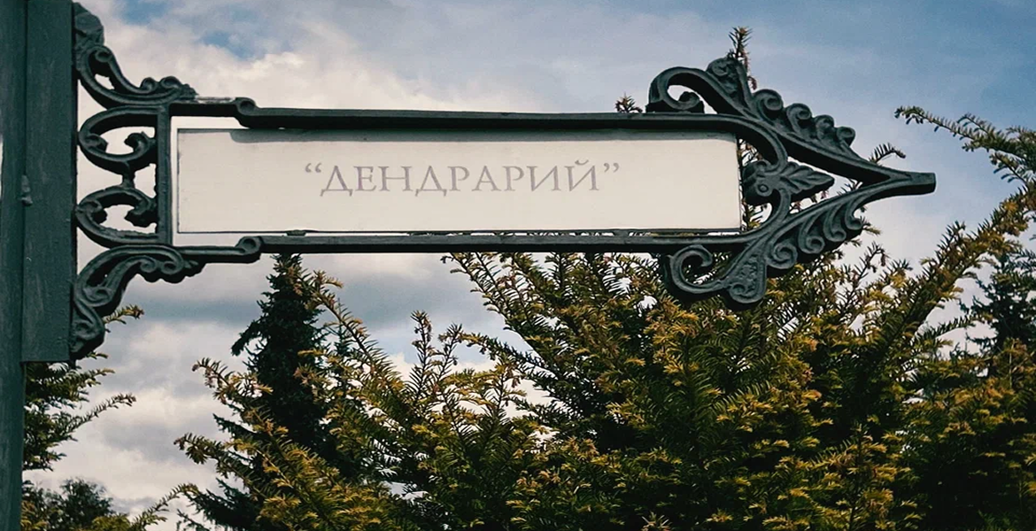 Слайдер--картинка-6