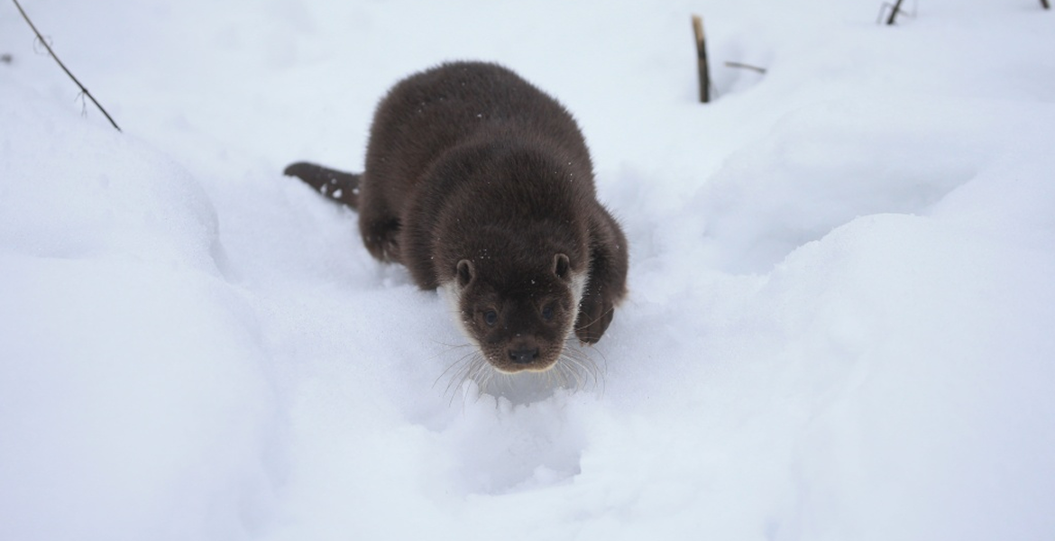 Слайдер--картинка-2
