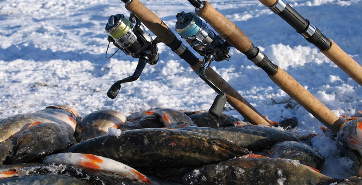 Слайдер--картинка-2