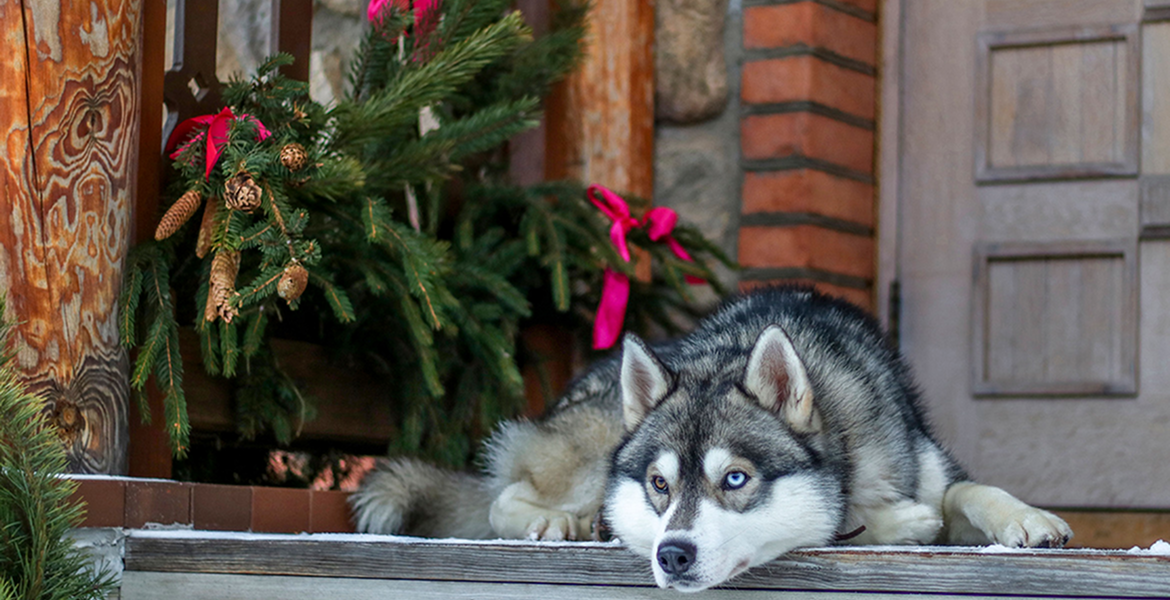 Слайдер--картинка-2