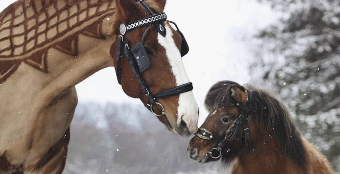 Слайдер--картинка-5