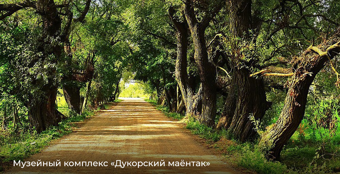 Слайдер--картинка-5