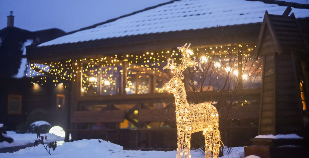 Слайдер--картинка-1