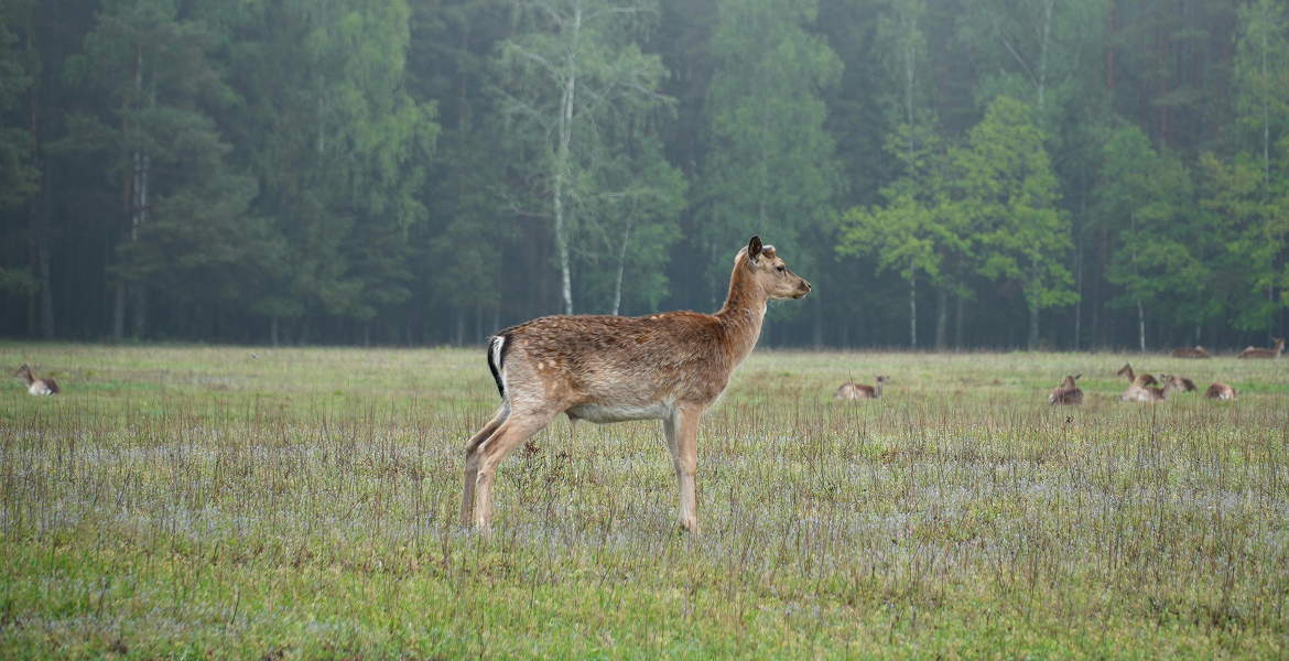 Слайдер--картинка-3