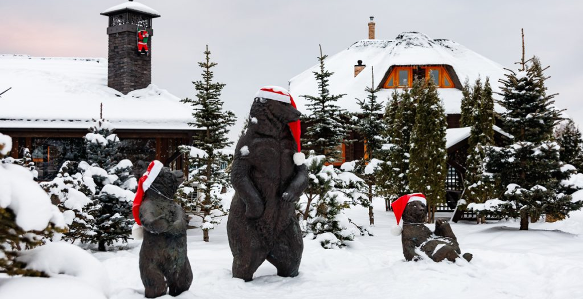 Слайдер--картинка-6