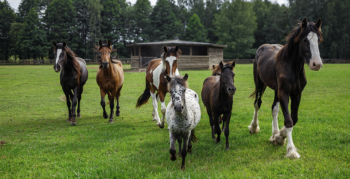 Слайдер--картинка-11
