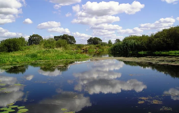 Болото Простырь (Беларусь) Болото Простырь (Беларусь)