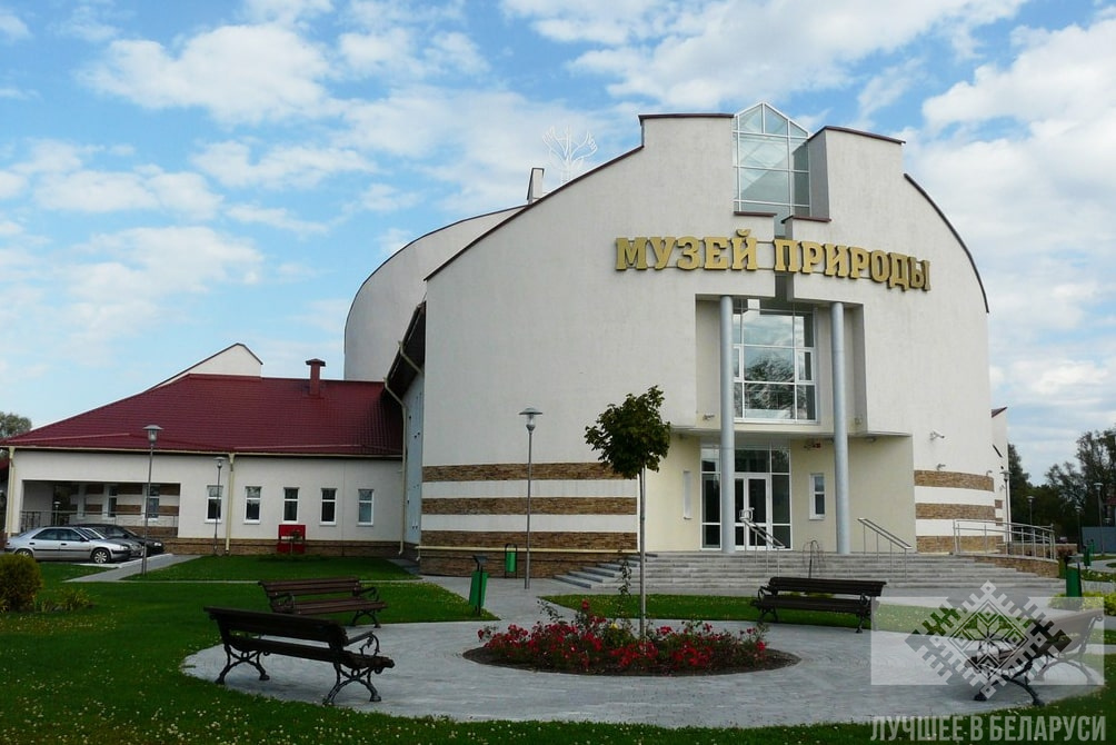 Национальный парк «Припятский»: 800-летний Царь-дуб, Музей природы и ещё 5 объетов